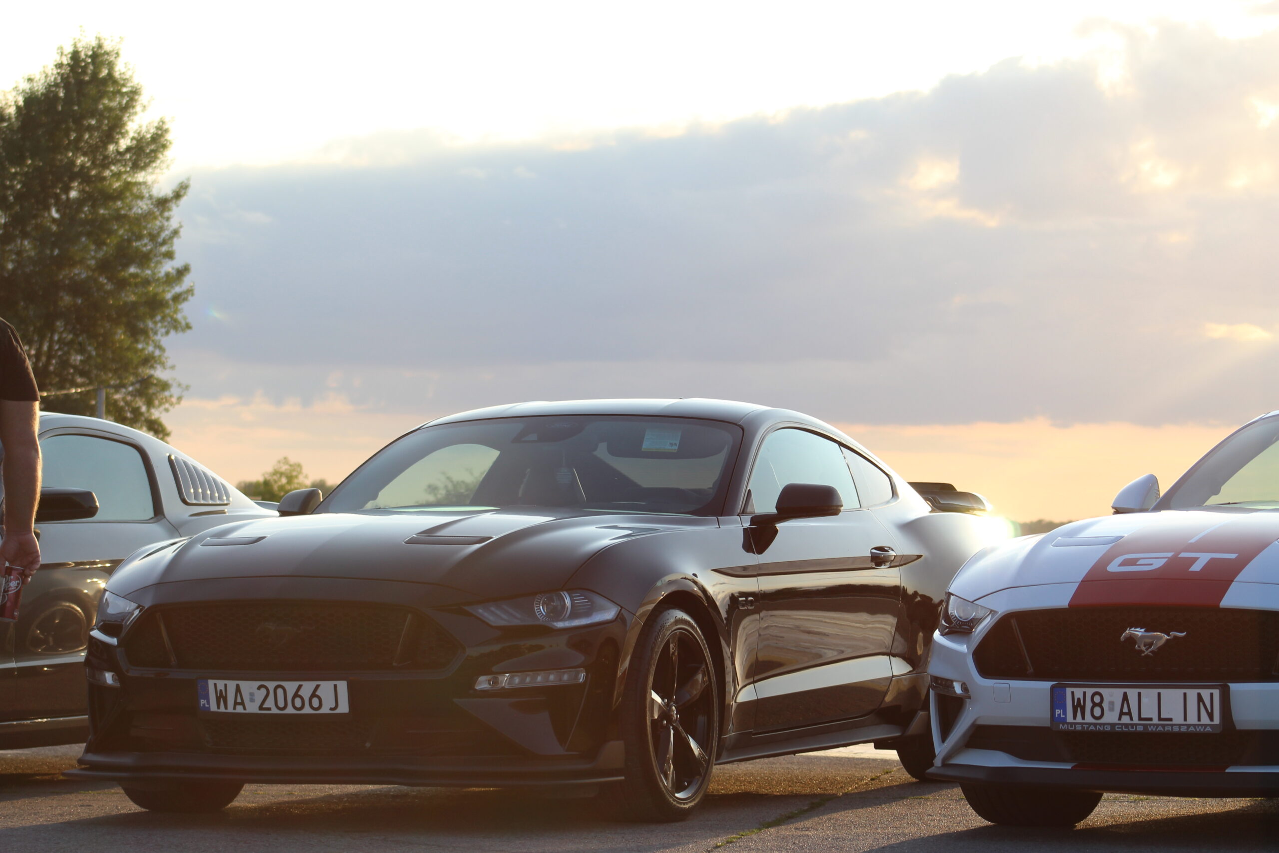 Motoryzacyjna legenda – Mustang [ZDJĘCIA]