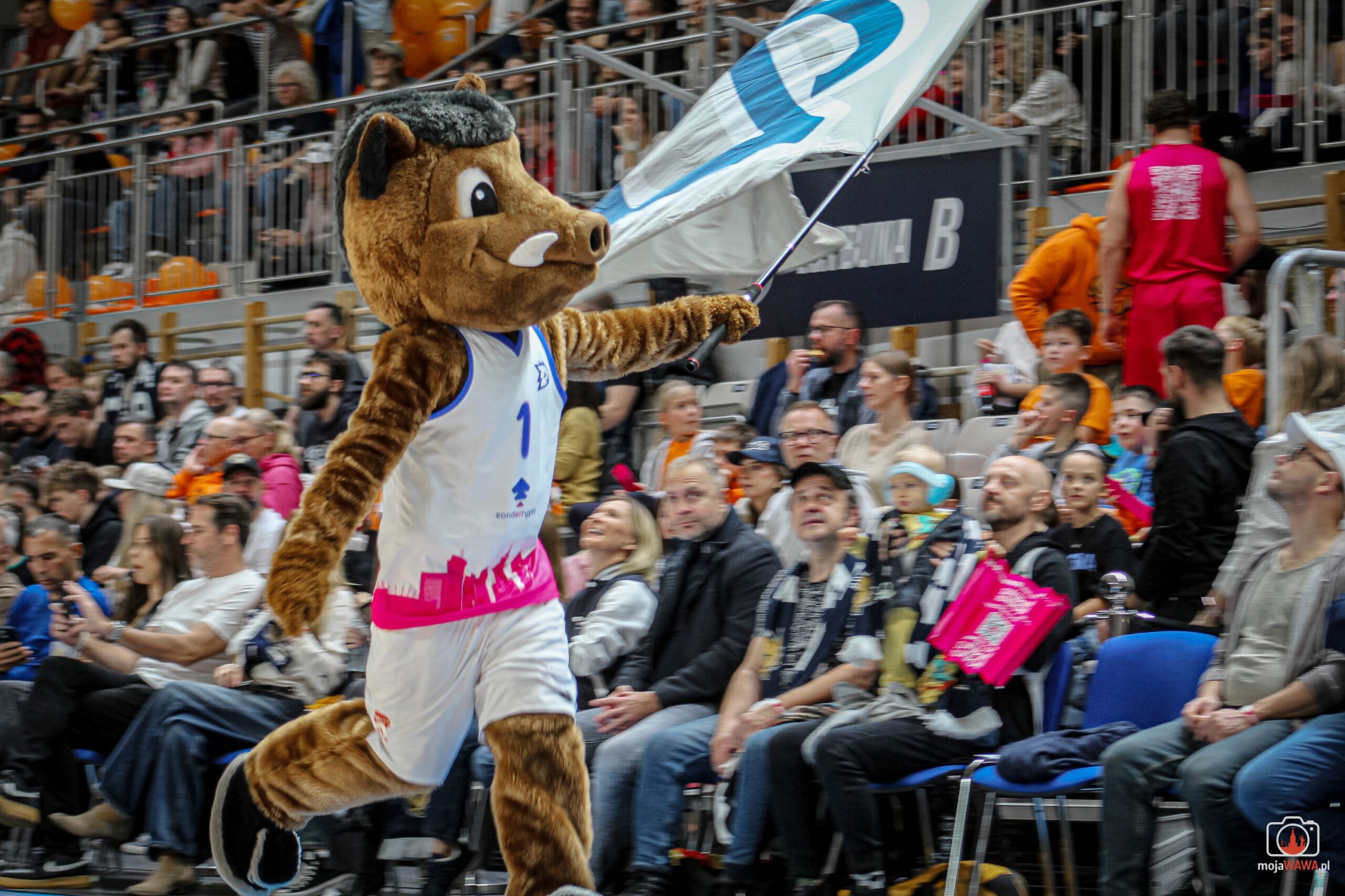 Dziki Warszawa vs Energa Trefl Sopot